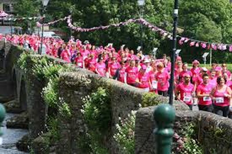 Technopath Clinical Diagnostics Official Main Sponsor for the Pink Ribbon Walk in Killaloe/Ballina
